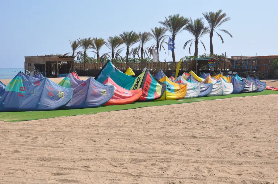 Row of colourful kites laid out on a green mat on the beach, with palm trees behind